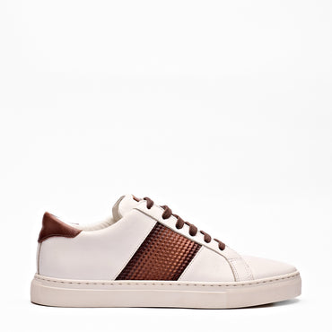 Dinodraghi 63107 Men Shoes