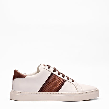 Dinodraghi 63107 Men Shoes