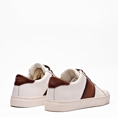 Dinodraghi 63107 Men Shoes