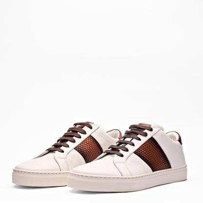 Dinodraghi 63107 Men Shoes