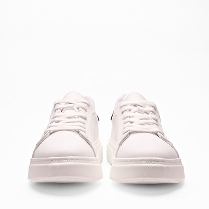 Torex 101975445 Men Shoes